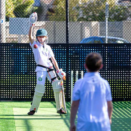Cricket