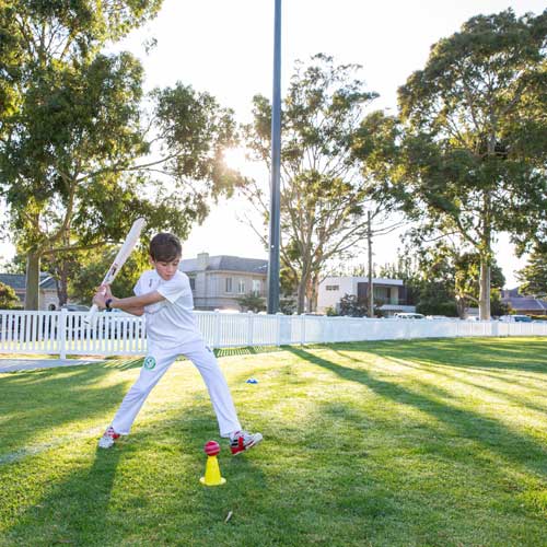 Cricket2