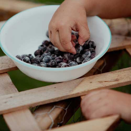 Fruit-bowl